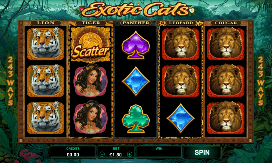 Exotic Cats Slot Gameplay