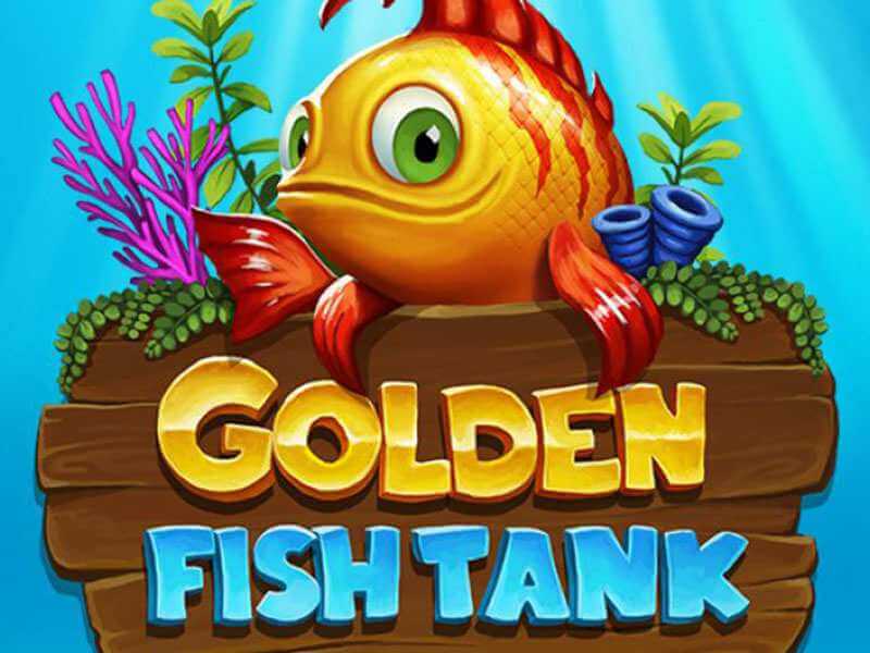 Golden Fish Tank Review