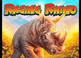 Raging Rhino Review