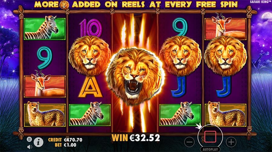 Safari King Slot Bonus