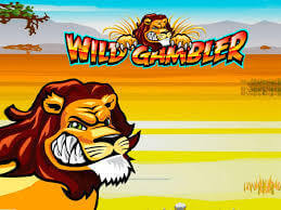 Wild Gambler Review