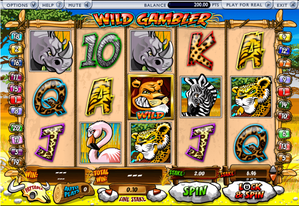 Wild Gambler Slot Gameplay