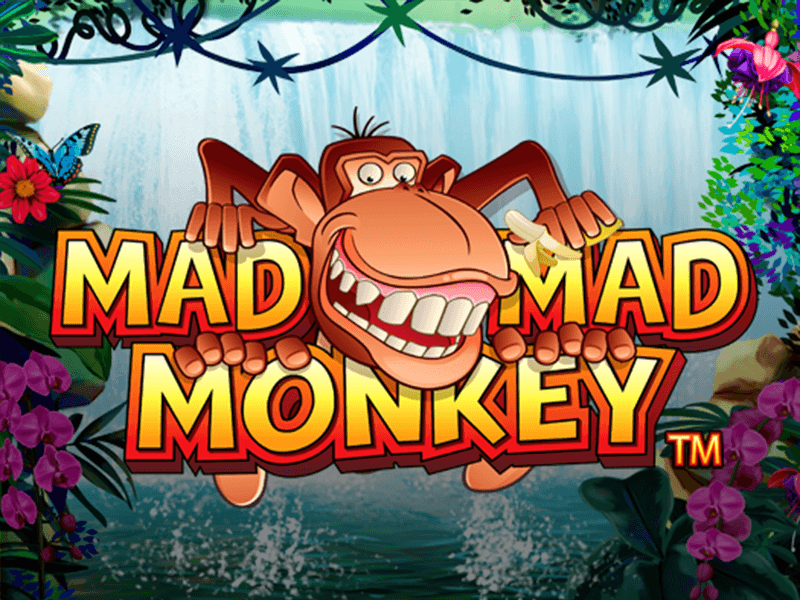 Mad Mad Monkey Logo